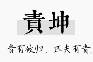 责坤名字的寓意及含义