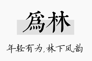 为林名字的寓意及含义