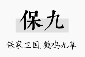 保九名字的寓意及含义