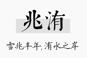 兆洧名字的寓意及含义