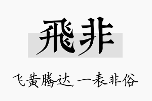 飞非名字的寓意及含义