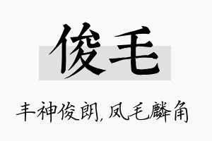 俊毛名字的寓意及含义