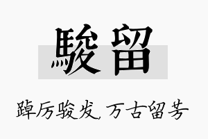 骏留名字的寓意及含义