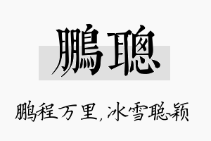 鹏聪名字的寓意及含义