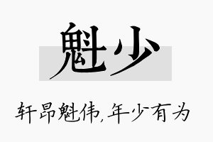 魁少名字的寓意及含义