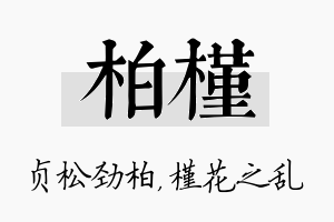 柏槿名字的寓意及含义