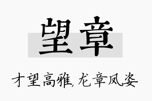 望章名字的寓意及含义