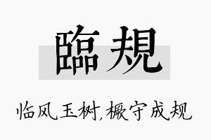 临规名字的寓意及含义