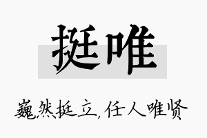 挺唯名字的寓意及含义