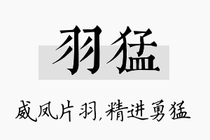 羽猛名字的寓意及含义