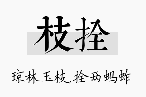 枝拴名字的寓意及含义