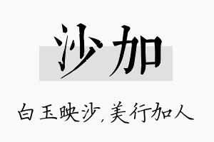 沙加名字的寓意及含义