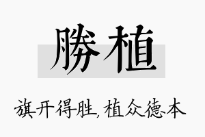 胜植名字的寓意及含义