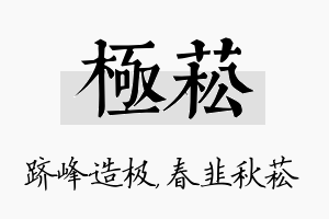 极菘名字的寓意及含义