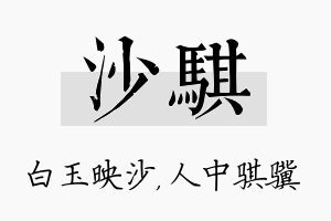 沙骐名字的寓意及含义