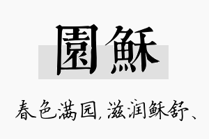 园稣名字的寓意及含义