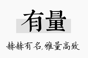 有量名字的寓意及含义