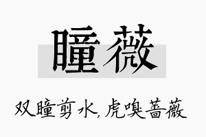 瞳薇名字的寓意及含义