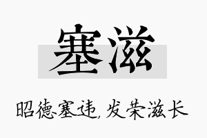 塞滋名字的寓意及含义