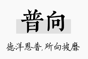 普向名字的寓意及含义