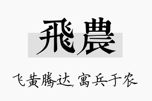 飞农名字的寓意及含义