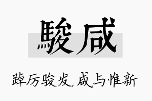 骏咸名字的寓意及含义