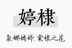 婷棣名字的寓意及含义