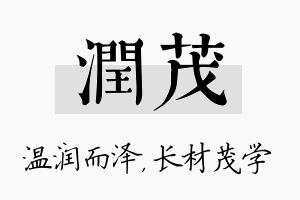 润茂名字的寓意及含义