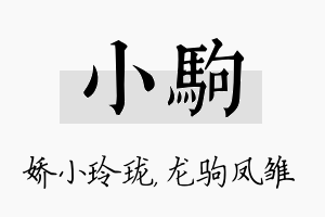 小驹名字的寓意及含义