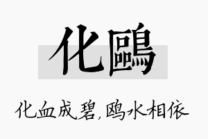 化鸥名字的寓意及含义