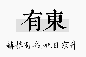 有东名字的寓意及含义