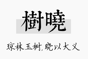 树晓名字的寓意及含义