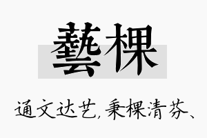 艺棵名字的寓意及含义