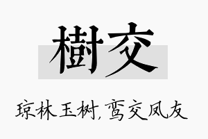 树交名字的寓意及含义