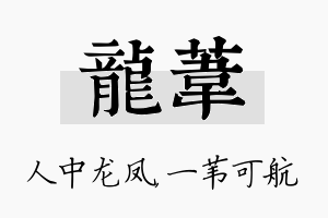 龙苇名字的寓意及含义