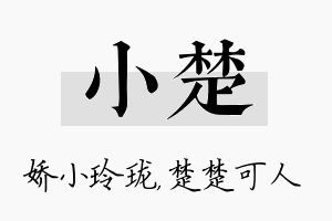 小楚名字的寓意及含义