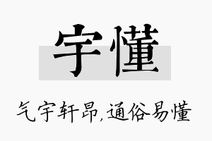 宇懂名字的寓意及含义