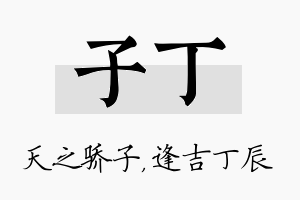 子丁名字的寓意及含义