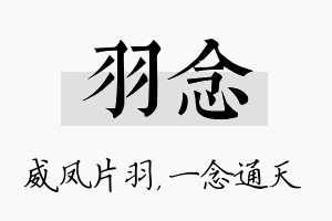 羽念名字的寓意及含义