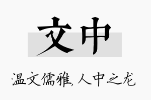 文中名字的寓意及含义