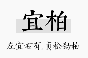 宜柏名字的寓意及含义