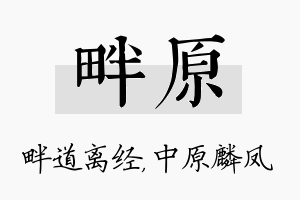 畔原名字的寓意及含义