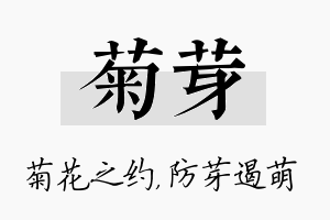 菊芽名字的寓意及含义