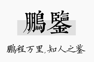 鹏鉴名字的寓意及含义