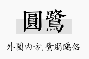 圆鹭名字的寓意及含义