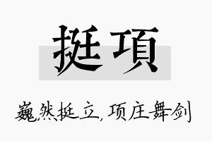 挺项名字的寓意及含义