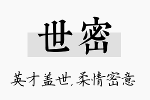 世密名字的寓意及含义