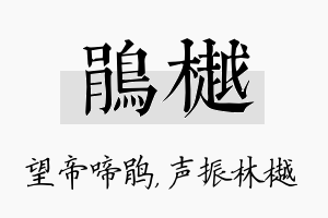 鹃樾名字的寓意及含义