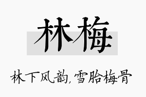 林梅名字的寓意及含义