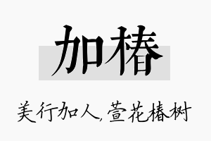 加椿名字的寓意及含义